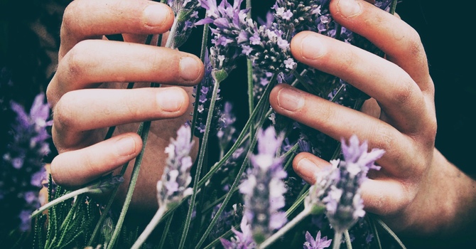 Alternative Treatments